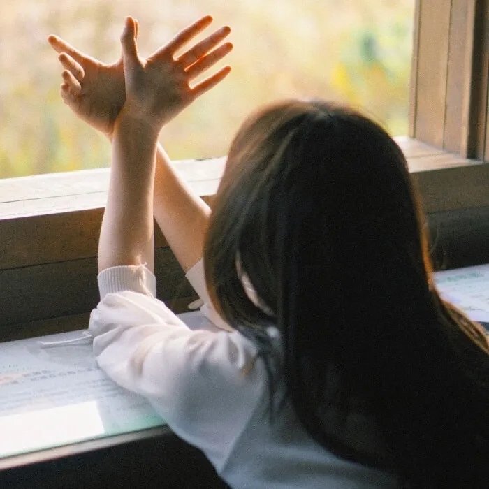 我的英雄学院：两位英雄